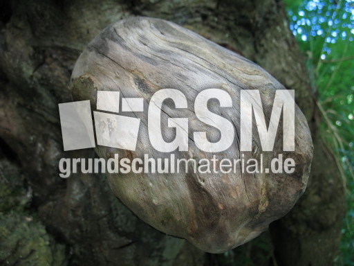 Schweiz Biel Taubenlochschlucht 006.JPG